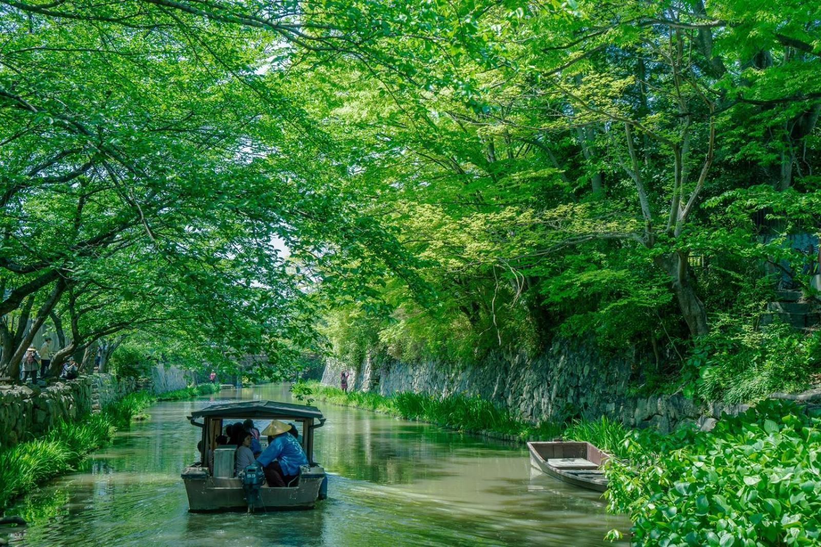 ゲストハウス桜 Guest House Sakura 便利な立地 貸し切り Omihachiman Eksteriør billede